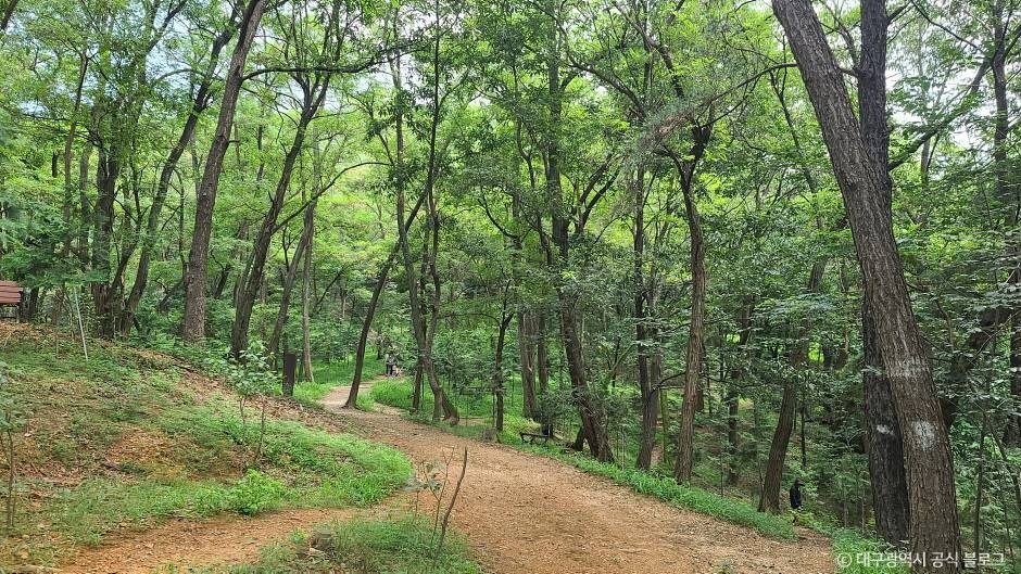 와룡산(대구)