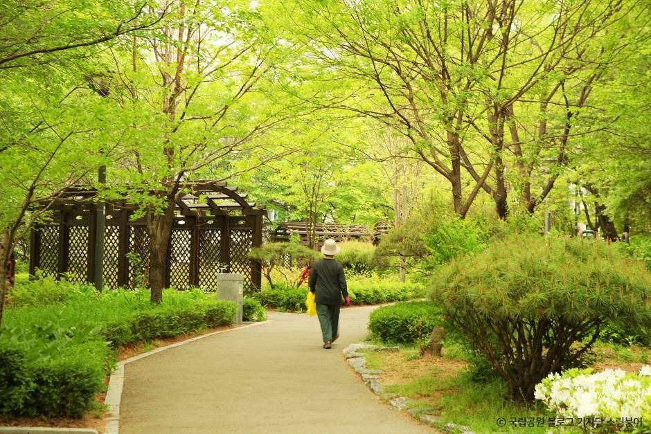 서울_[북한산 둘레길 8구간] 구름정원길 (2)