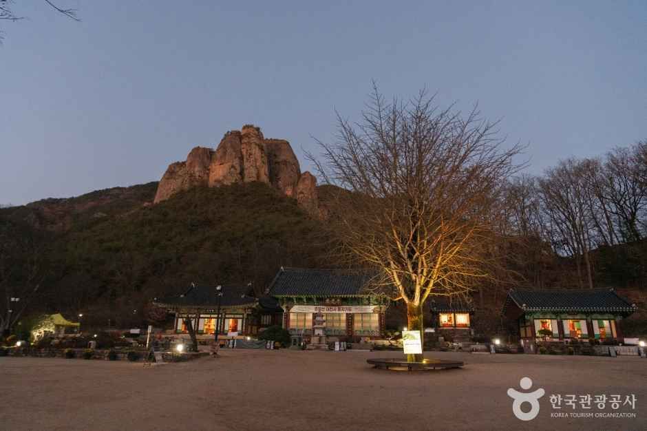 대전사