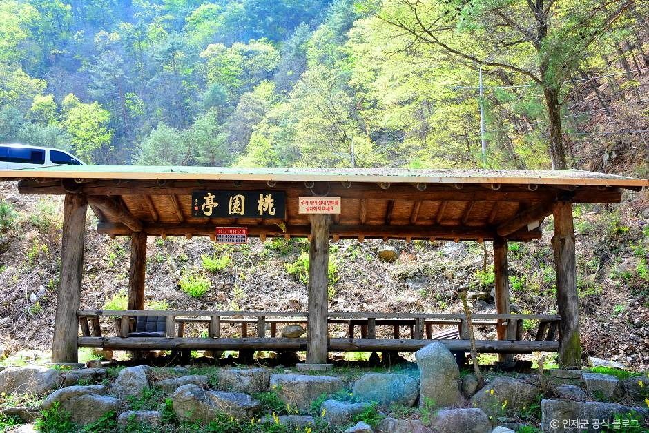 동아실계곡