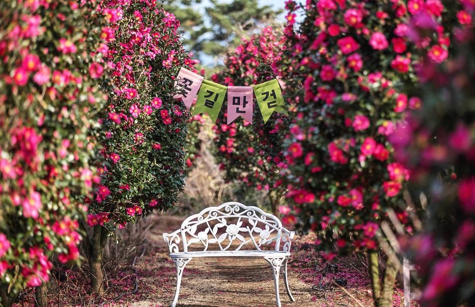 서귀포_마노르블랑 (5)
