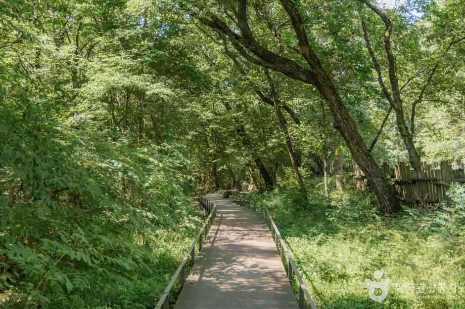 광릉숲길