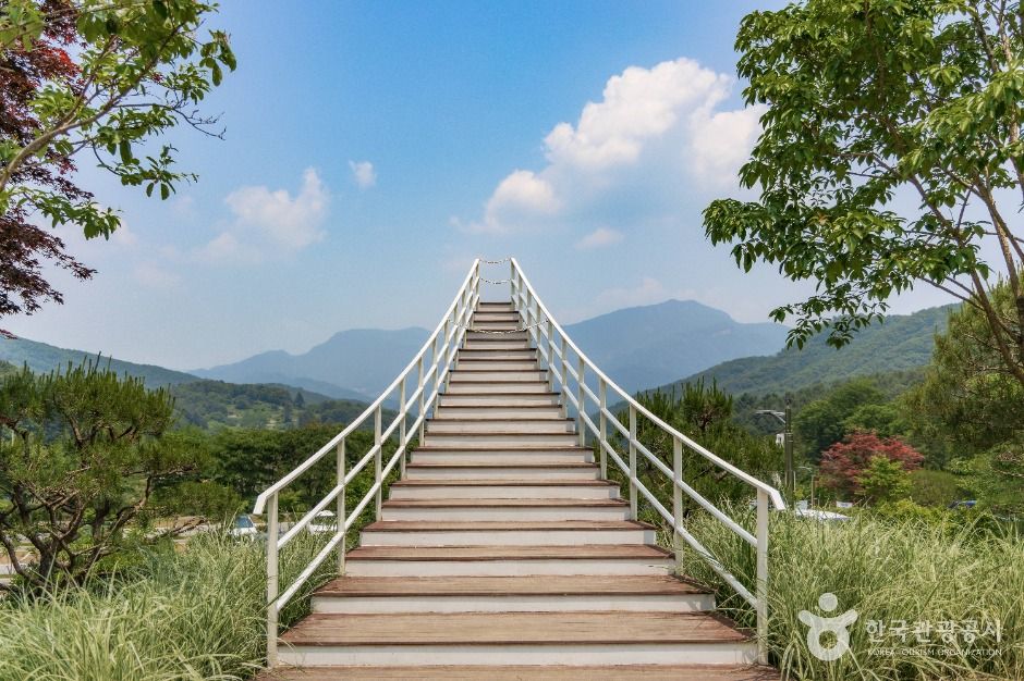 물맑음수목원