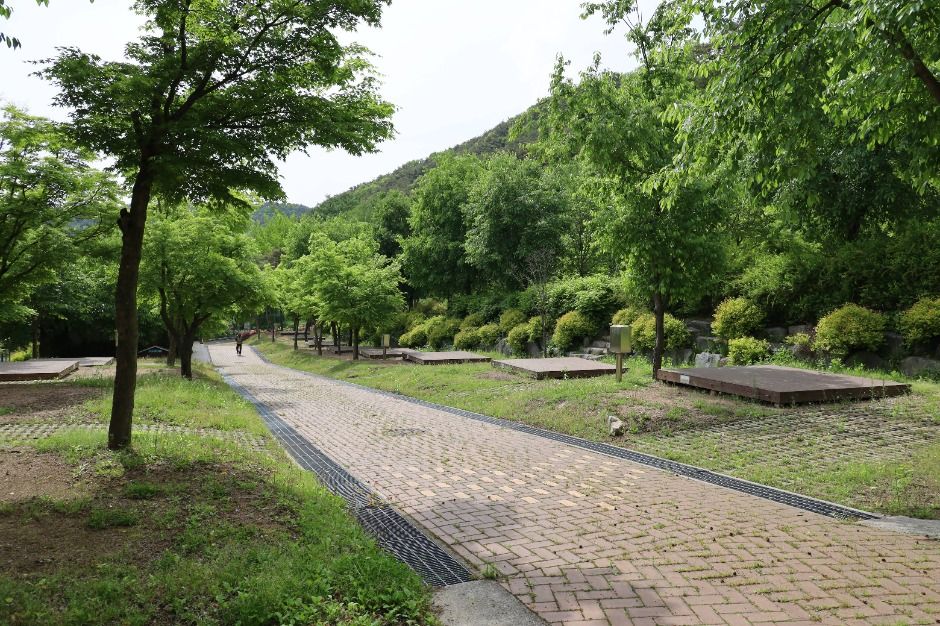 팔공산국립공원 도학야영장