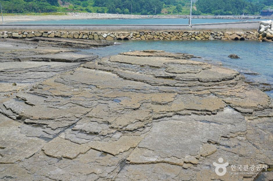 고성_상족암군립공원 (2)
