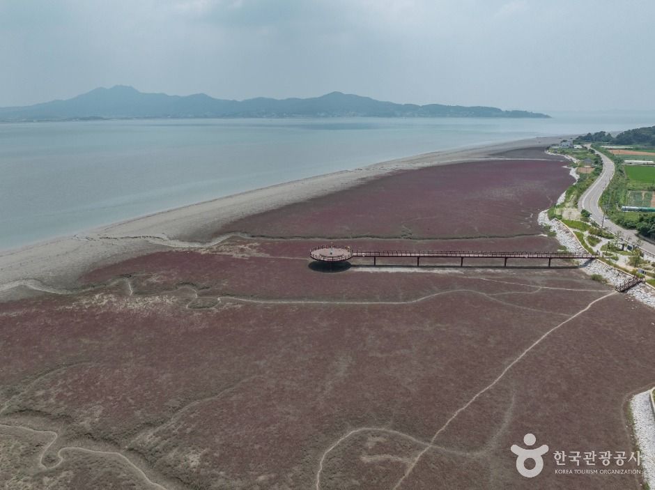 thumbnail-석모도 칠면초 군락지-11