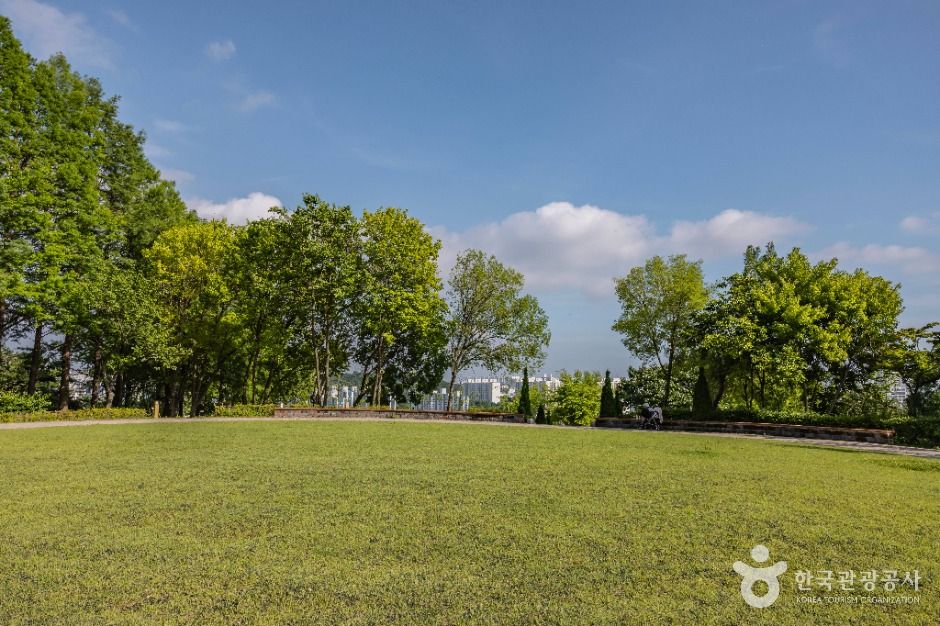 thumbnail-장미공원-23