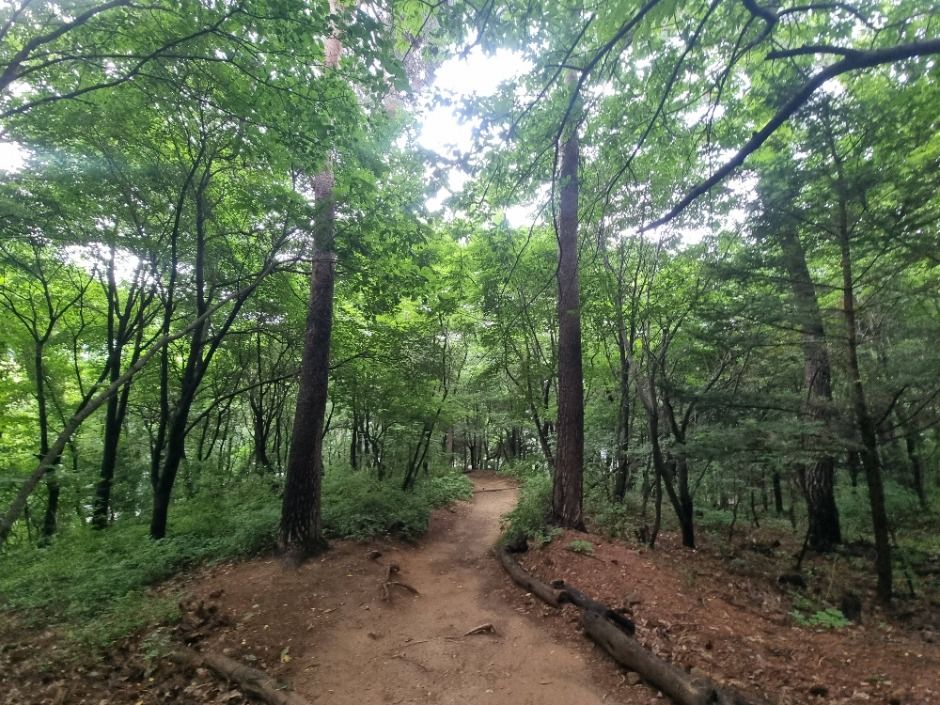 [서울둘레길 17코스] 북한산 은평코스