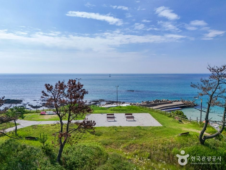 포항_구룡포 주상절리 (1)