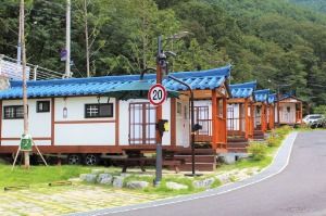 대구_진밭골야영장 (5)