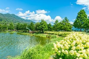 하동_동정호 (7)
