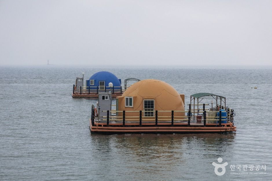 사천_비토해양낚시공원 (6)