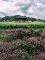 화순적벽 (2)