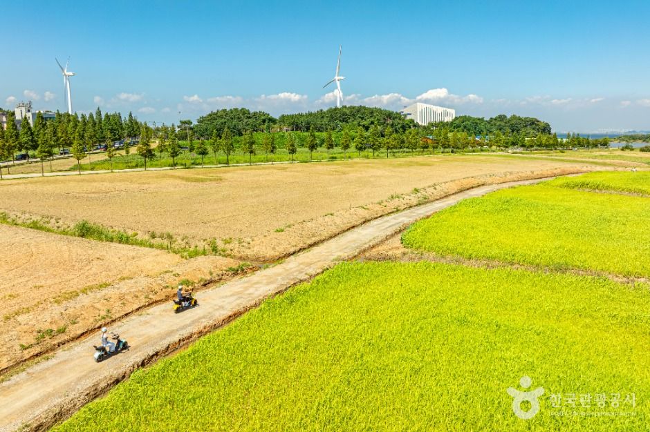 thumbnail-대부바다향기테마파크-6