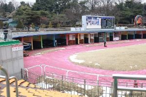 과천_렛츠런파크 서울 (1)