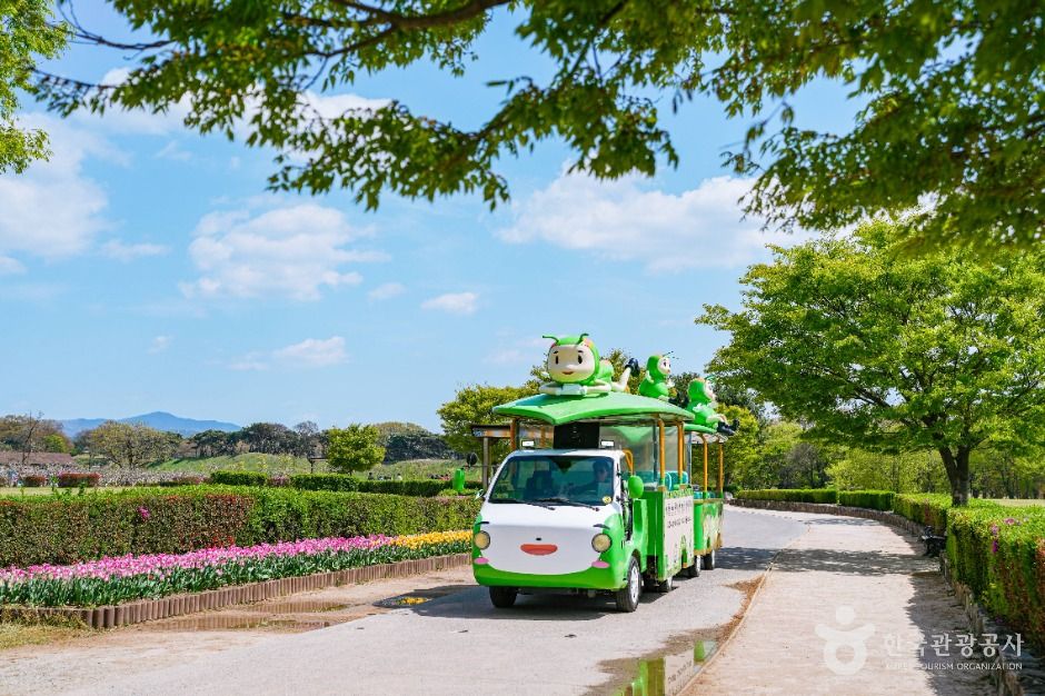 경주 비단벌레 전동차