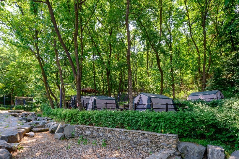 서울_강동그린웨이 가족캠핑장 (6)