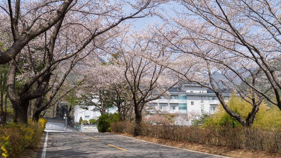 성주_가야호텔 (4)