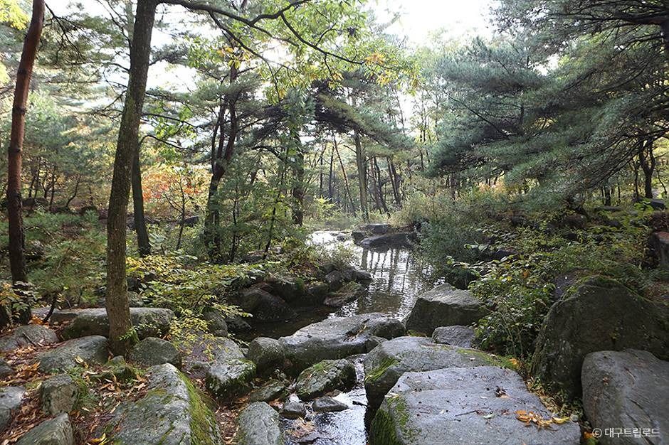 비슬산군립공원