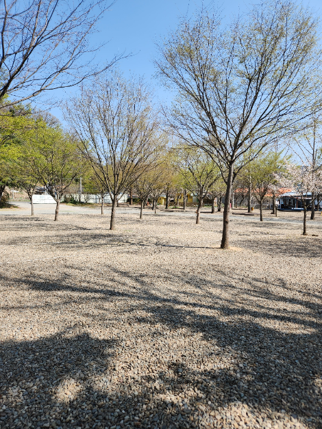 영천_늘푸른체험학교 캠핑장 (2)