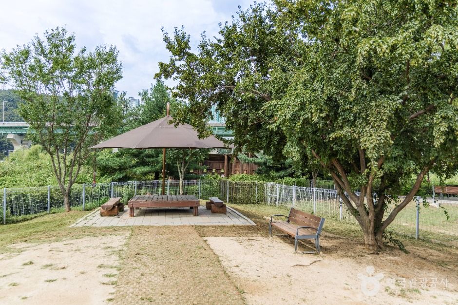 기흥레스피아호수공원 반려동물놀이터
