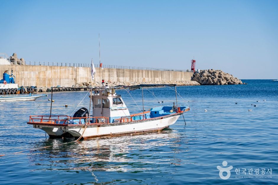 thumbnail-대진항(삼척)-6