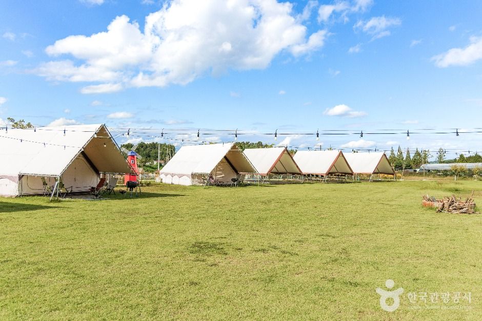 익산_다송무지개매화마을 (3)