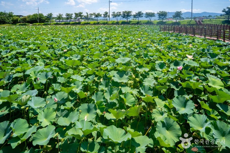 뒷미지수변공원