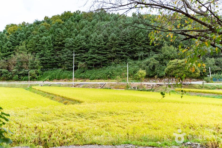 송악 오돌개마을