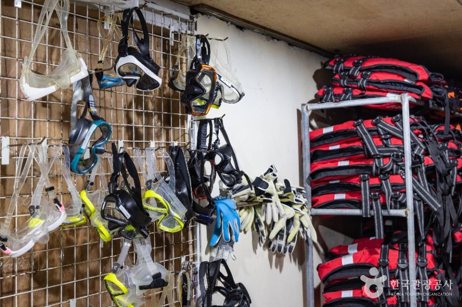 울릉아쿠아캠프