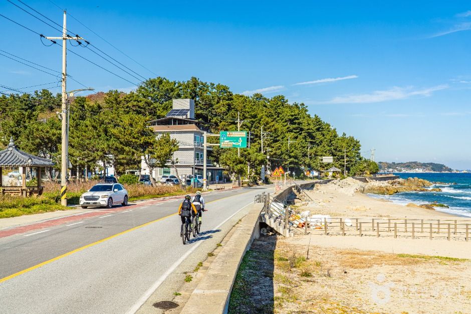 울진_울진 해안도로 (1)