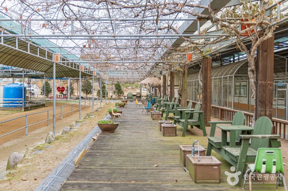 thumbnail-홍천동키마을-4