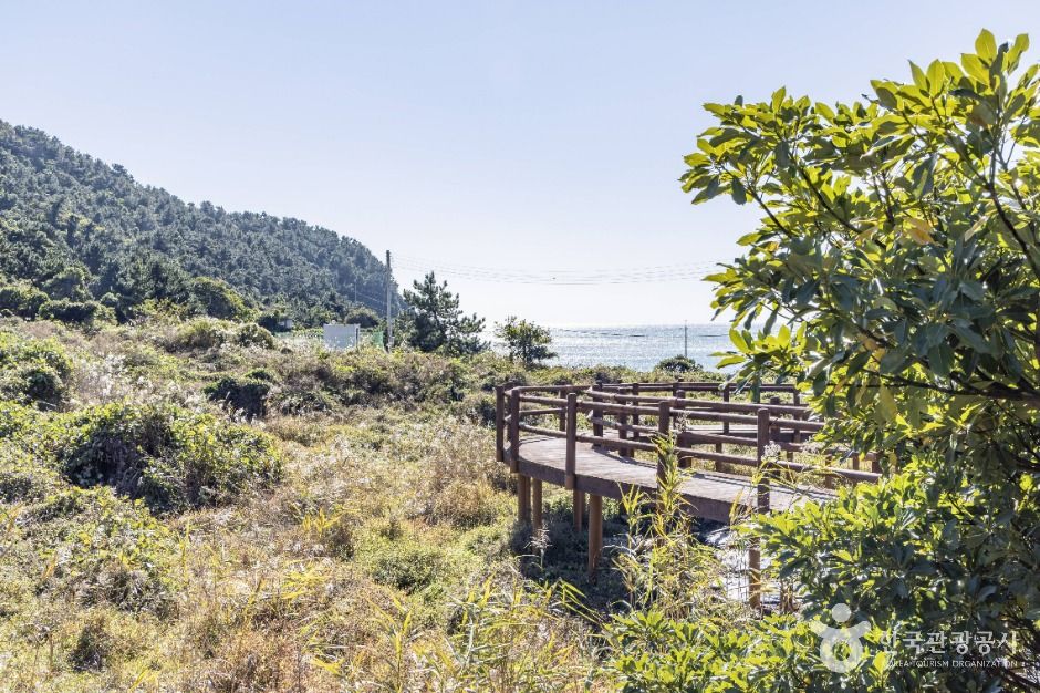 thumbnail-연도(여수)-6