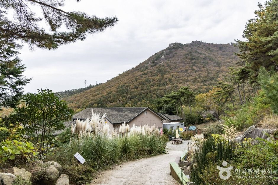 해남_포레스트 수목원 (7)