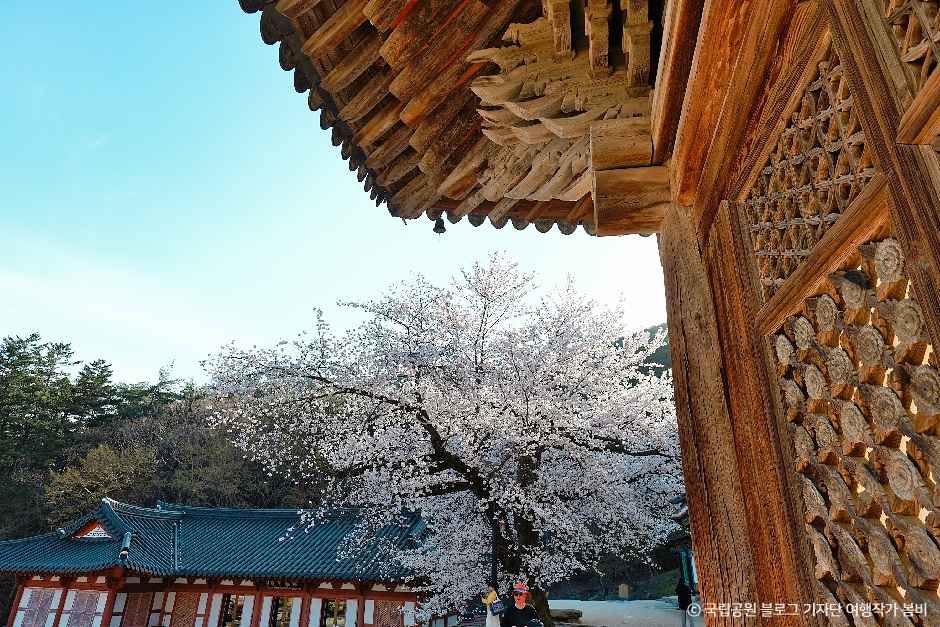 thumbnail-내소사(부안)-15