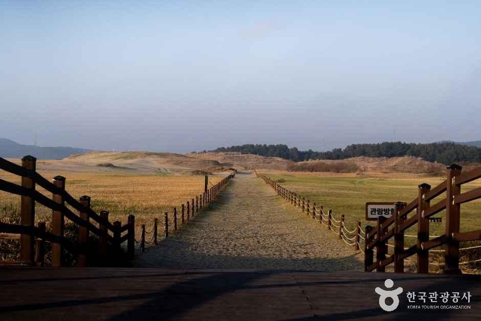 thumbnail-신두리사구센터-1