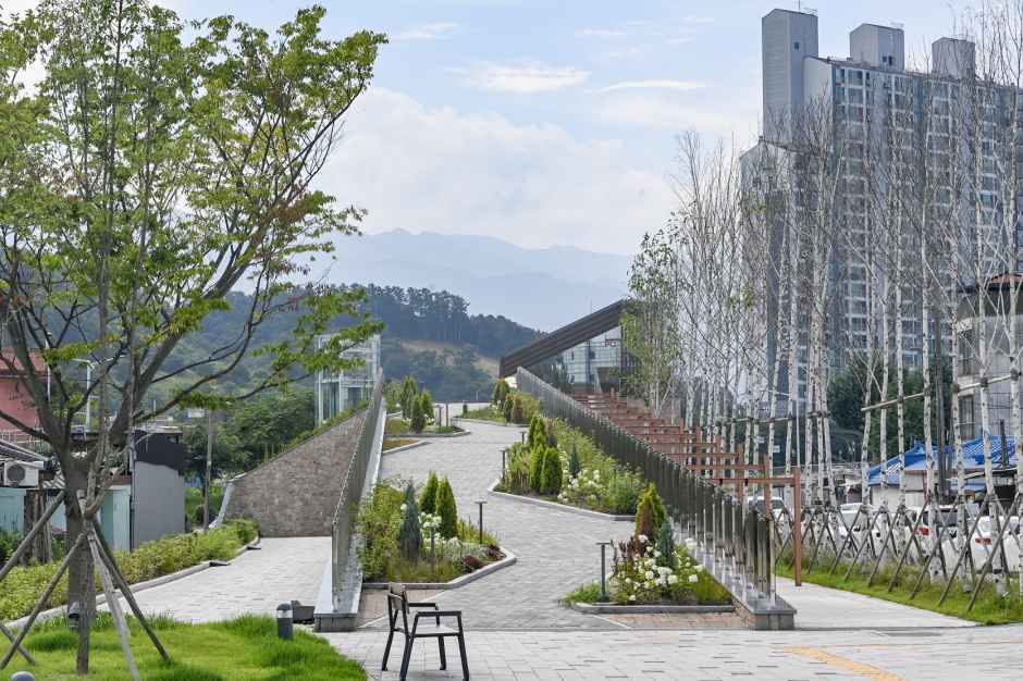 thumbnail-치악산 바람길숲-6