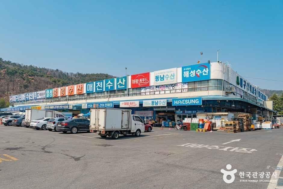 thumbnail-대구농수산물도매시장-2