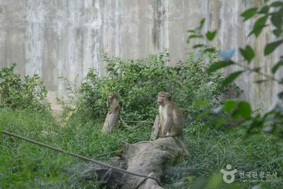 thumbnail-전주동물원-10