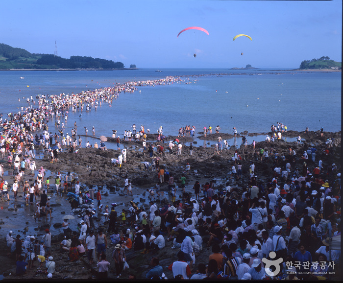 Jindo Miracle Sea Festival (진도 신비의바닷길축제)
