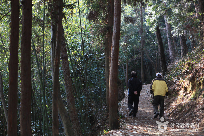 ´Ù»ê¿À¼Ö±æ