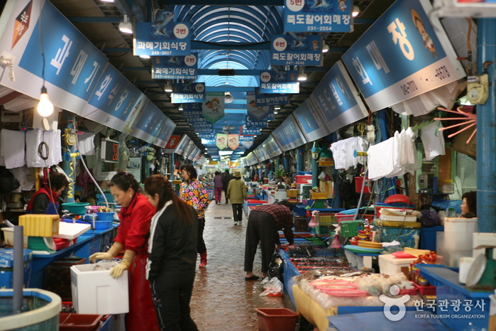 Jukdo Market (포항 죽도시장)