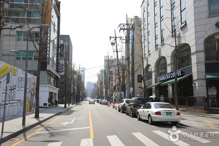 Sinsadong Garosu-gil Road (신사동 가로수길)