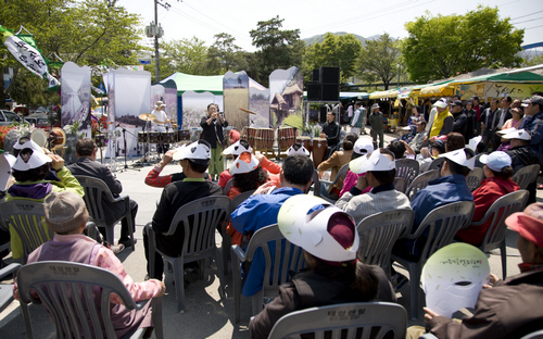 Hadong Wild Tea Cultural Festival (하동 야생차문화축제)
