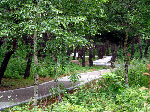 태백산 국립공원 사진5