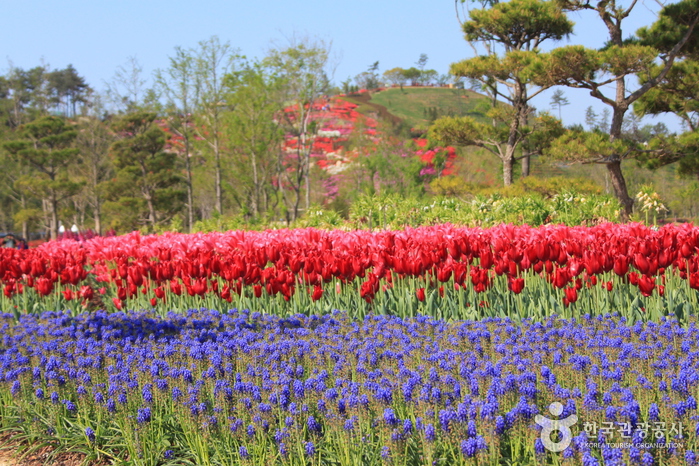 Foire du jardin de la baie de Suncheon 2013 (순천만국제정원박람회 2013)