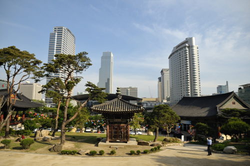 봉은사(서울) 사진5