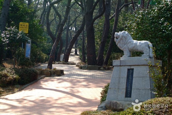 Ile de Dongbaekseom (동백공원)