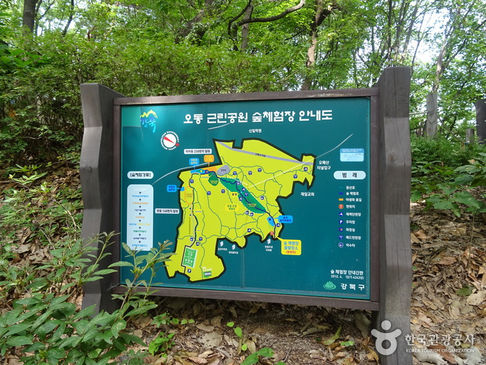 梧桐近隣公園（오동근린공원）