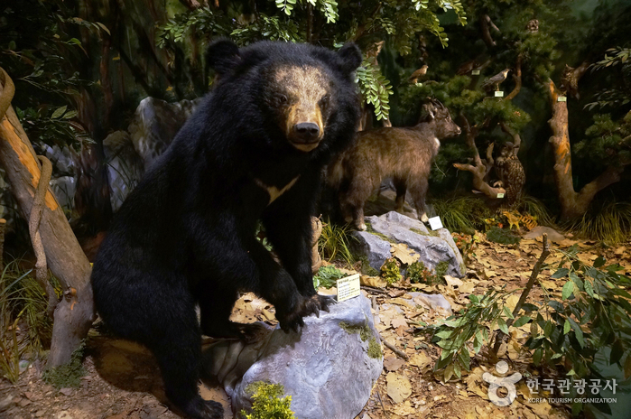 Daejeon Natural Heritage Center (천연기념물센터 (대전))